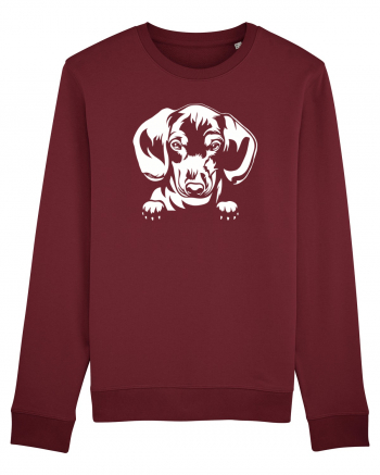 Dachshund Burgundy