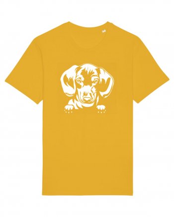 Dachshund Spectra Yellow