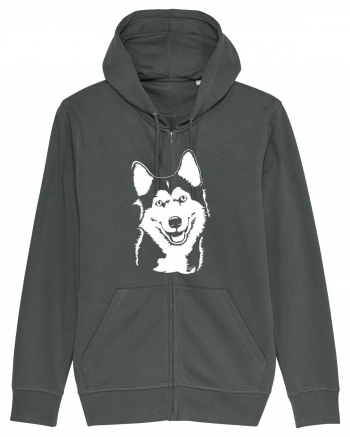 Happy husky Anthracite