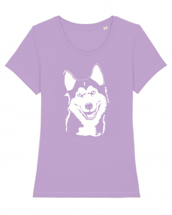 Happy husky Lavender Dawn