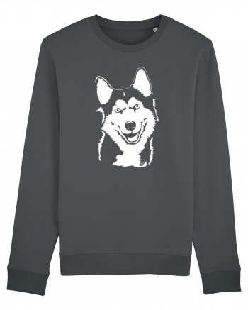 Happy husky Anthracite