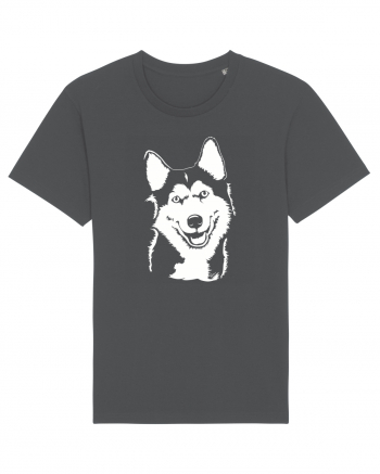 Happy husky Anthracite