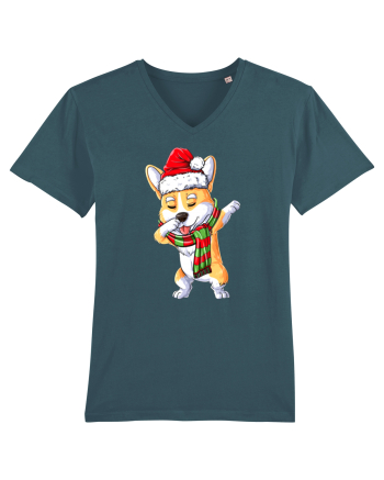 Corgi Dance Stargazer