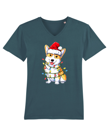 Corgi Xmas Light Stargazer