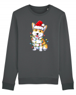 Corgi Xmas Light Bluză mânecă lungă Unisex Rise