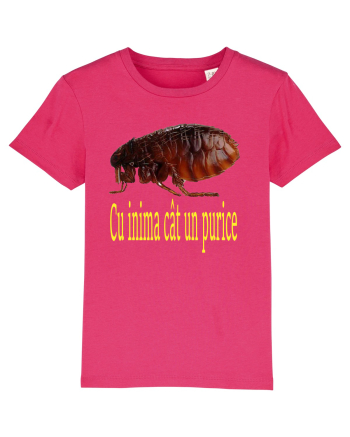 Cu inima cat un purice Raspberry