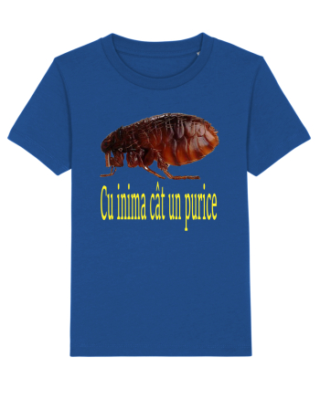 Cu inima cat un purice Majorelle Blue