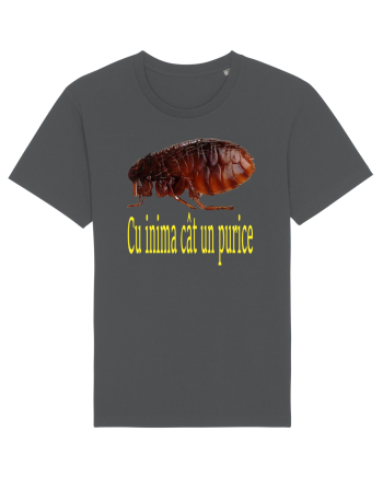 Cu inima cat un purice Anthracite