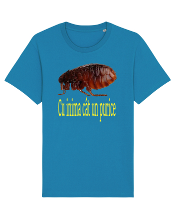 Cu inima cat un purice Azur
