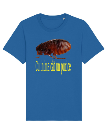 Cu inima cat un purice Royal Blue