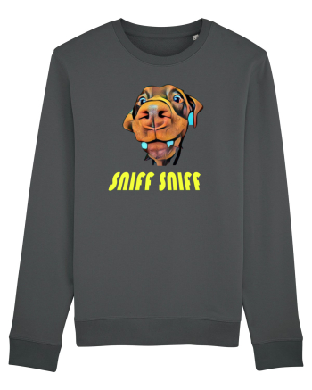 Sniff sniff Anthracite