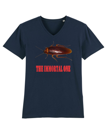 Immortal nemuritorul French Navy