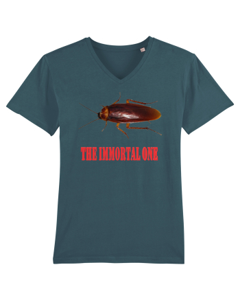 Immortal nemuritorul Stargazer