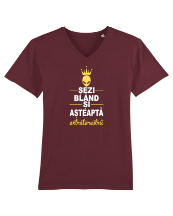 SEZI BLAND SI ASTEAPTA EXTRATERESTRII Burgundy