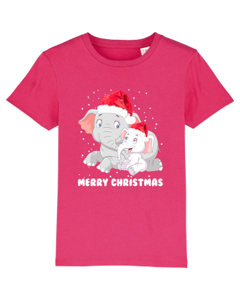 Merry Christmas Raspberry