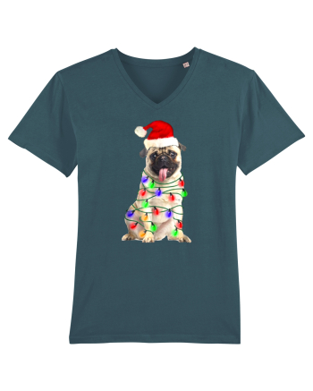 Pug First Christmas Stargazer