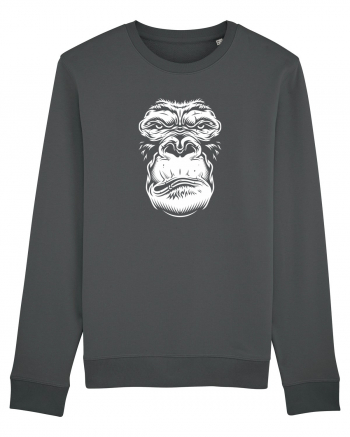 Monkey face Anthracite