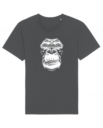 Monkey face Anthracite