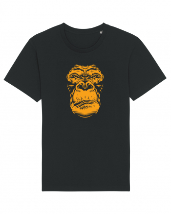 Orange monkey Black