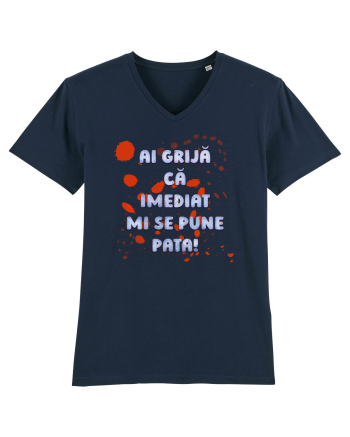 Mi se pune pata French Navy