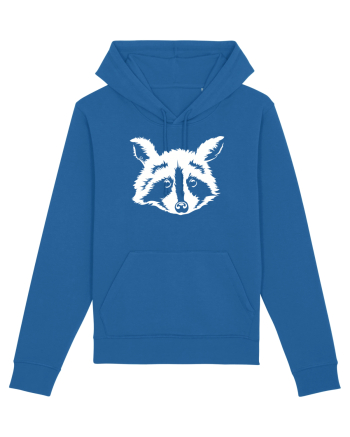 Raccoon Royal Blue