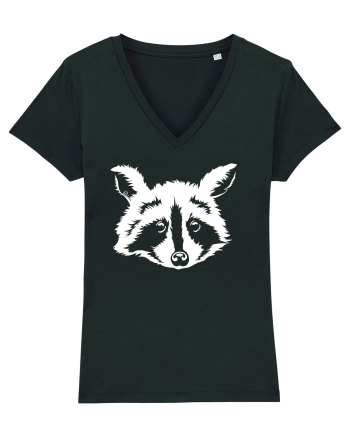 Raccoon Black