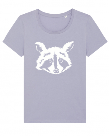 Raccoon Lavender