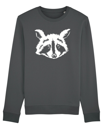 Raccoon Anthracite