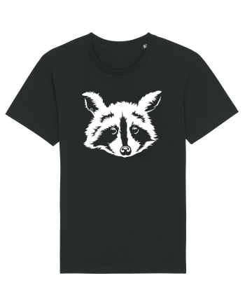 Raccoon Black