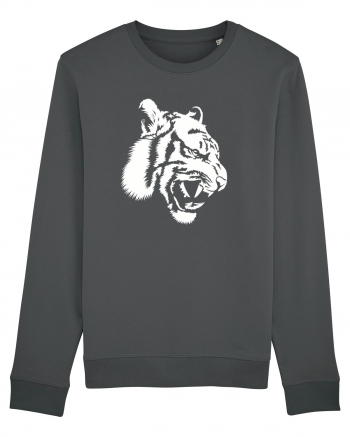 Tiger Anthracite