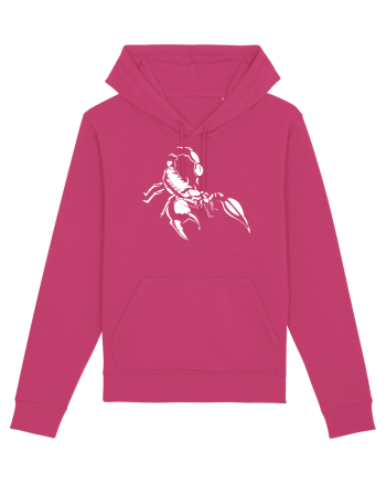 Scorpion Raspberry