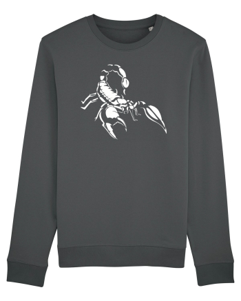 Scorpion Anthracite