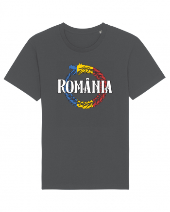 cu iz românesc: România - dragon tricolor Anthracite