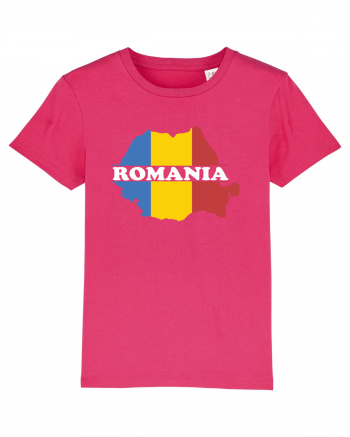 cu iz românesc: România - hartă tricoloră Raspberry