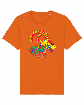 Colecția Zodiac 2 – Capricorn Bright Orange