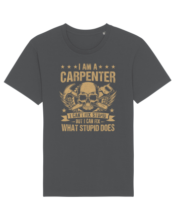 I am a carpenter I can't fix stupid but I can fix what stupid does Anthracite