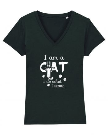 I am a Cat Black