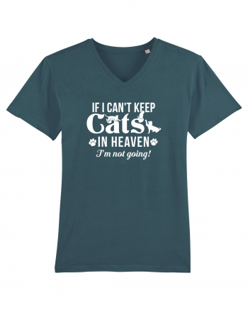 Keep cats in heaven Stargazer