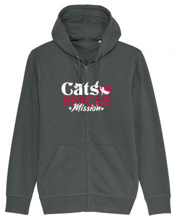 Cats rescue mission Anthracite