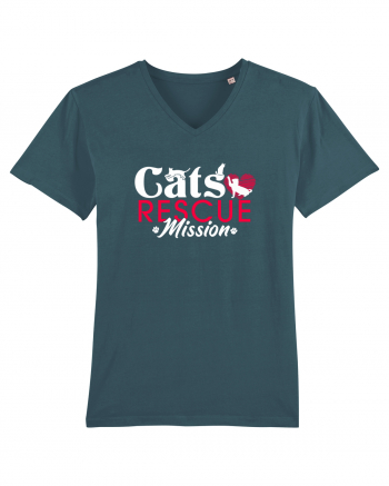 Cats rescue mission Stargazer