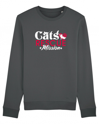 Cats rescue mission Anthracite