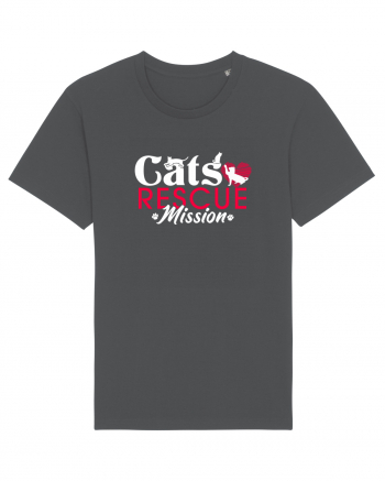 Cats rescue mission Anthracite