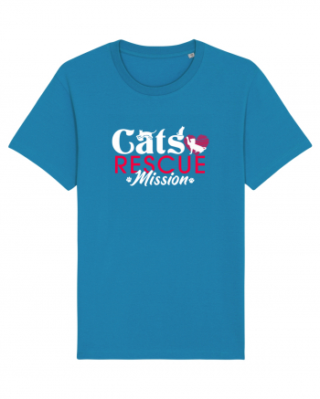 Cats rescue mission Azur