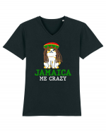 Jamaica me crazy Tricou mânecă scurtă guler V Bărbat Presenter