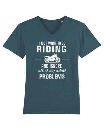 Go Riding Stargazer