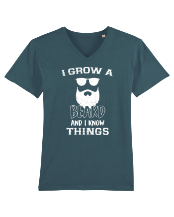  Grow a beard Stargazer
