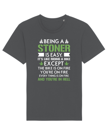 BEING A STONER IS EASY Anthracite
