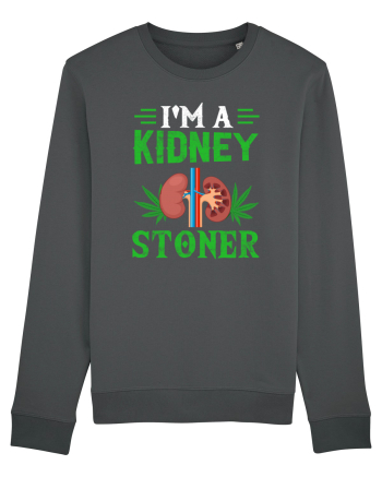 I'm a kidney stoner Anthracite