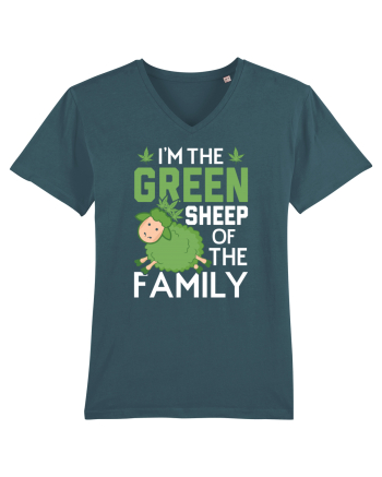I'M THE GREEN SHEEP OF THE FAMILY Stargazer