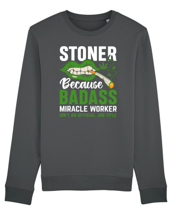 STONER BECAUSE BADASS MIRACLE WORKER ISN'T AN OFFICIAL JOB TITLE Anthracite